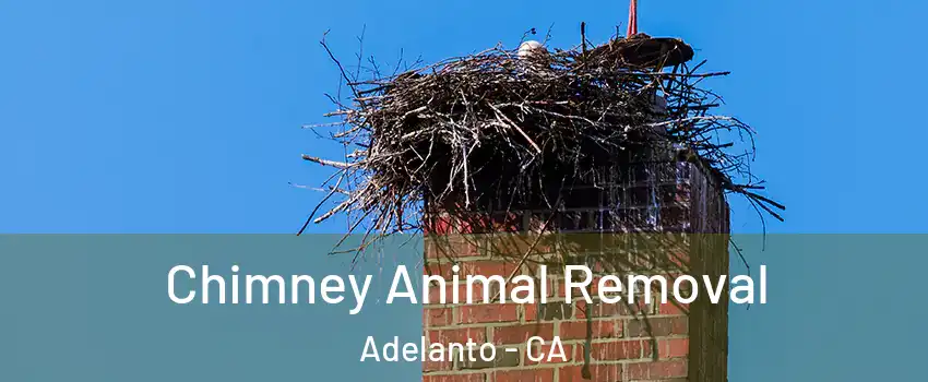 Chimney Animal Removal Adelanto - CA