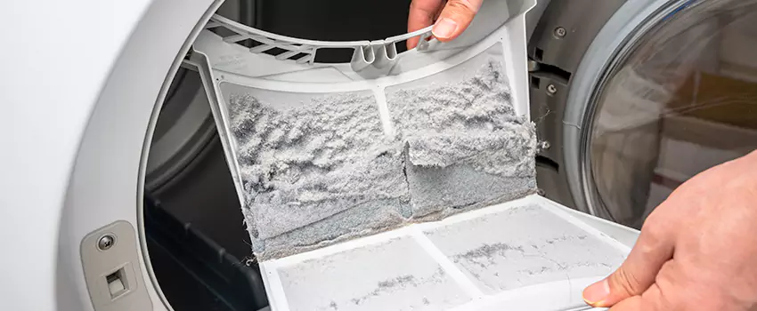 Best Dryer Lint Removal Company in Adelanto, California
